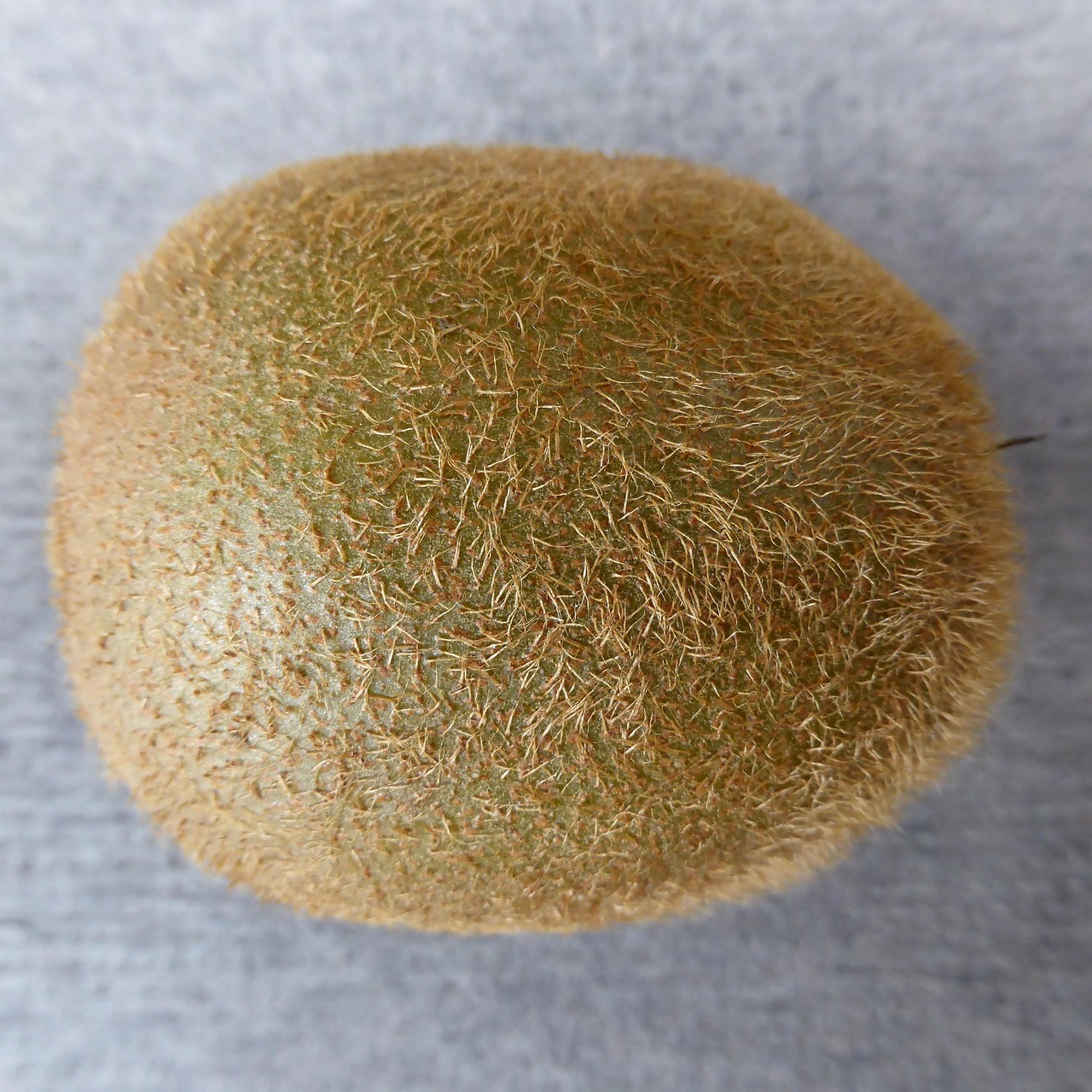 即食海苔十大品牌排行榜2025近期排名前十名分析