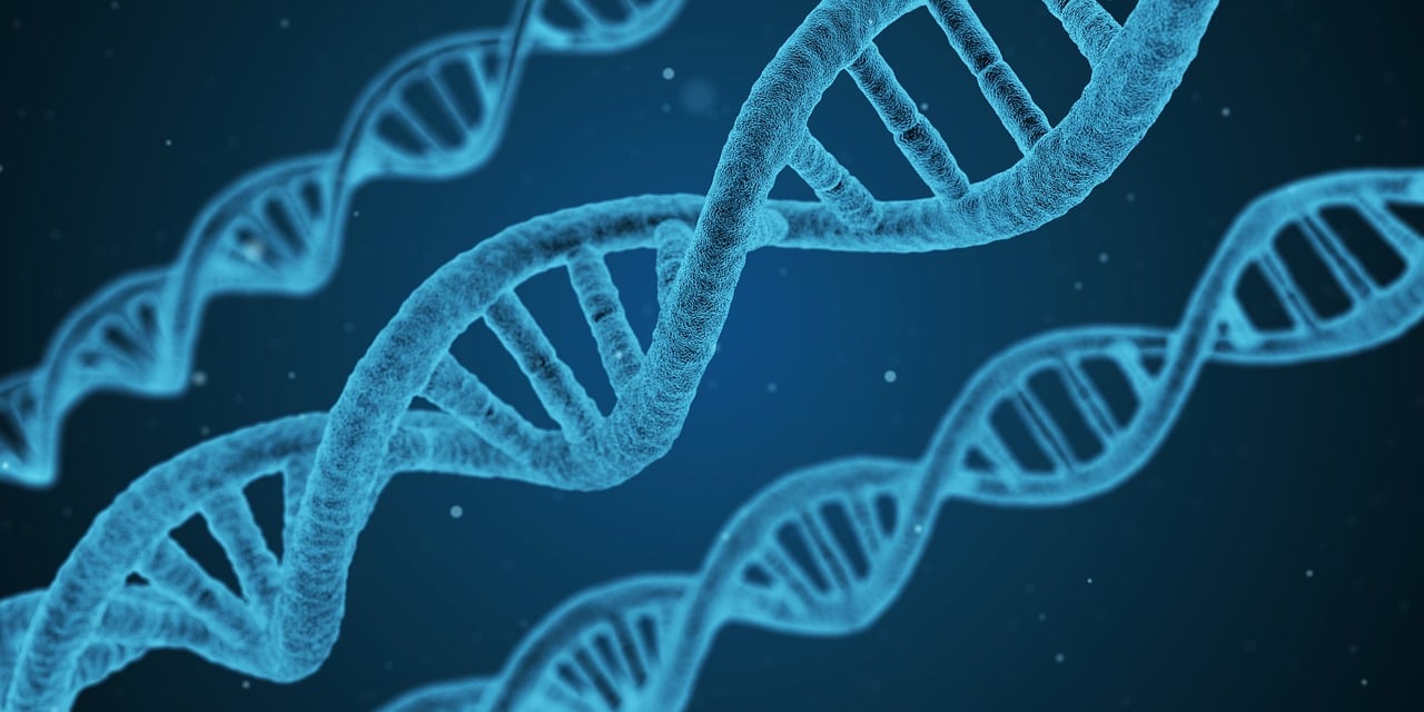 2024年广西制造工程职业技术学院招生章程
