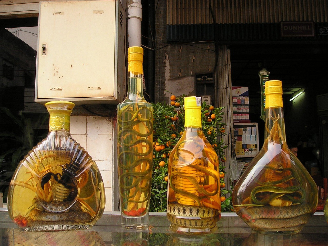 世界十大红酒品牌排行榜2025年排名前十名榜单出炉